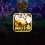 PAK3 Game